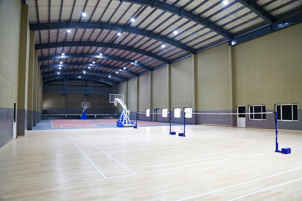 Badminton Court